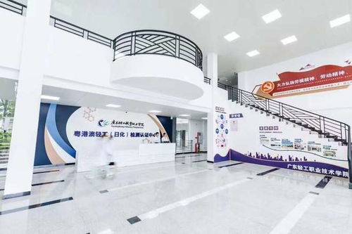 廣東新設(shè)職業(yè)本科院校首次招生，軟件服務(wù)專業(yè)迎來210名學(xué)子